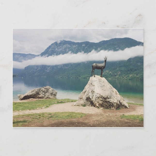 Sjö Bohinj, Slovenien Zlatorog Photo Vykort (Framsida)