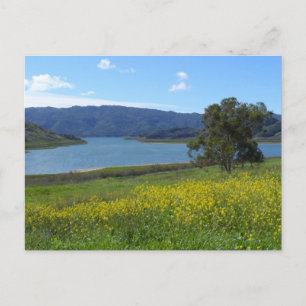 Sjö Casitas- Ojai, CA Vykort