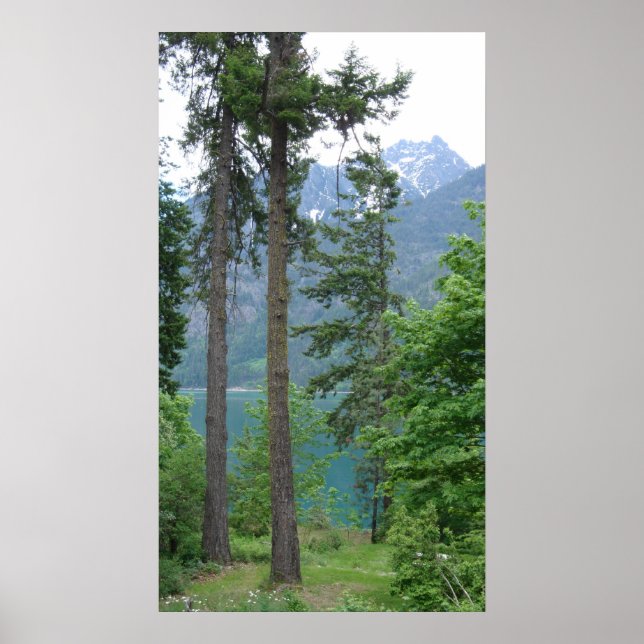 Sjö Chelan Poster (Framsidan)