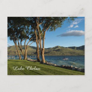 Sjö Chelan Washington State Boat & Träd Travel Vykort
