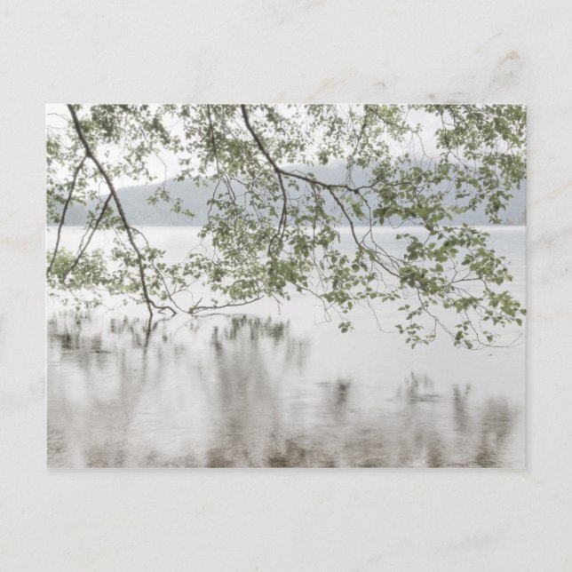 Sjö Crescent | Olympic National Park, WA Vykort (Framsida)