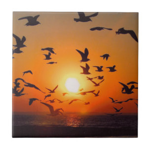 Sjö Erie Birds Orange Sunset Photo Kakelplatta