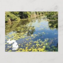 Sjö Erie Metropark River View med Logotyp