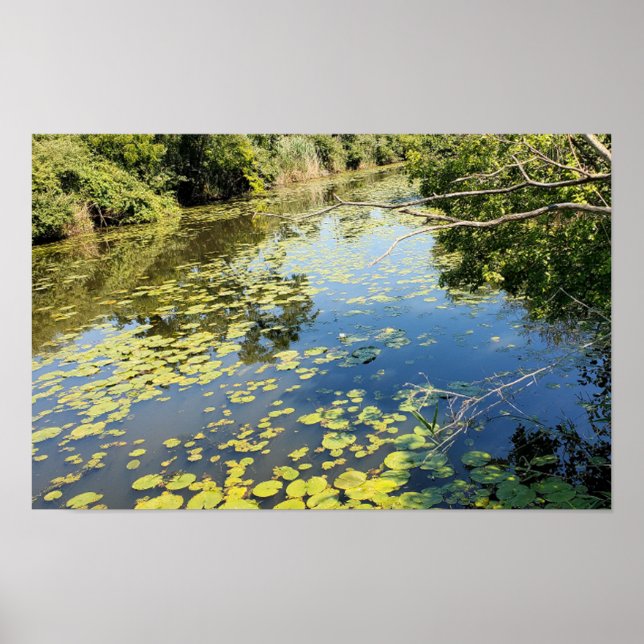Sjö Erie Metropark River View Poster (Framsidan)