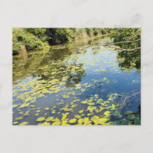 Sjö Erie Metropark River View