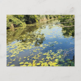 Sjö Erie Metropark River View Vykort