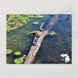 Sjö Erie Metropark Turtle Log Lodrät Logotyp Vykort