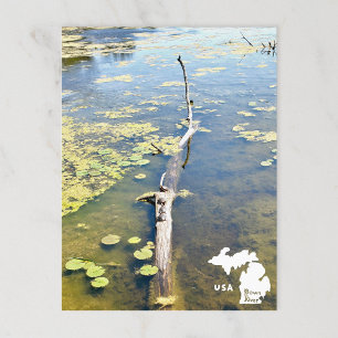 Sjö Erie Metropark Turtle Log Vågrät Logotyp Vykort