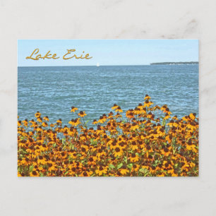 Sjö Erie och Brown-eyed Susans/Lakeside, Ohio Vykort