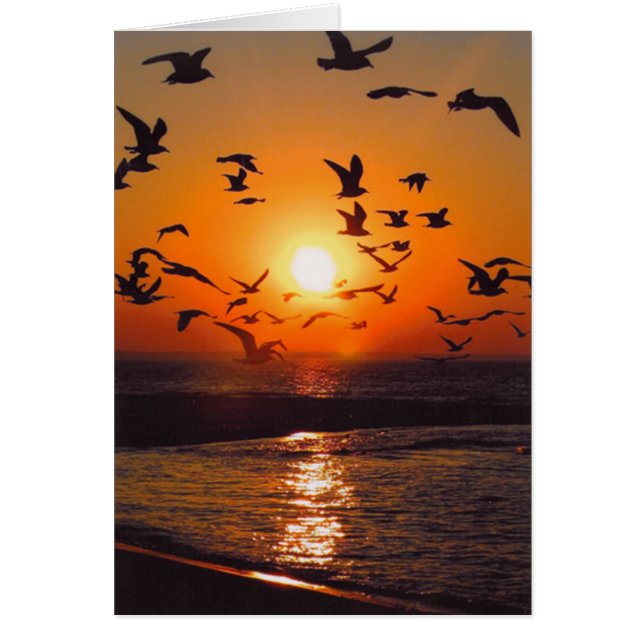 Sjö Erie Sunset Hälsningskort (Framsidan)