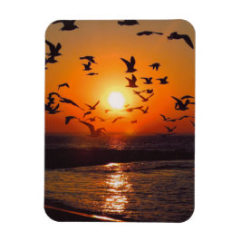 Sjö Erie Sunset Magnet