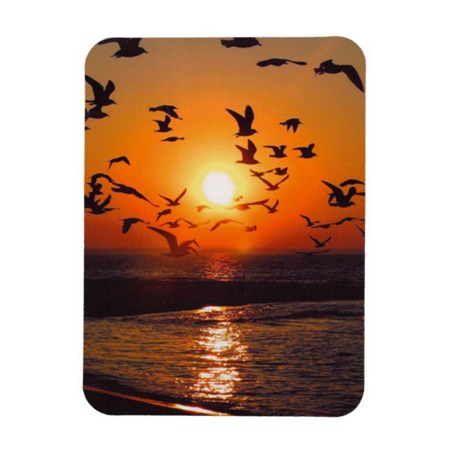 Sjö Erie Sunset Magnet (Vertikal)