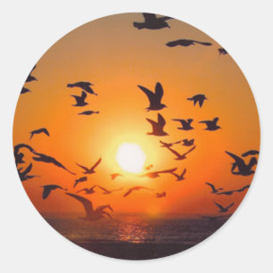 Sjö Erie Sunset Runt Klistermärke