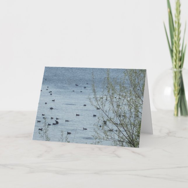Sjö-fågelgratulationskort Kort (Framsida)