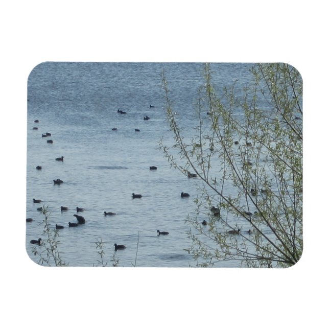Sjö Fåglar Flexibel magnet (Horisontell)