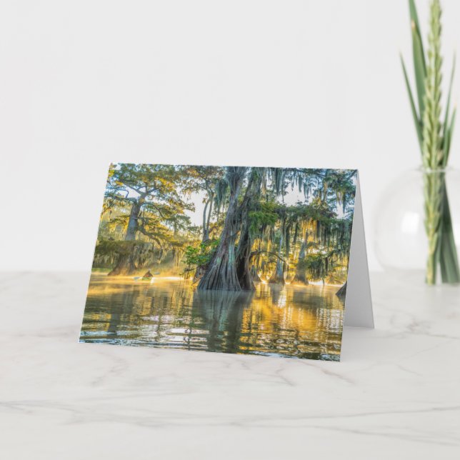 Sjö Fausse Pointe State Park Kort (Framsida)