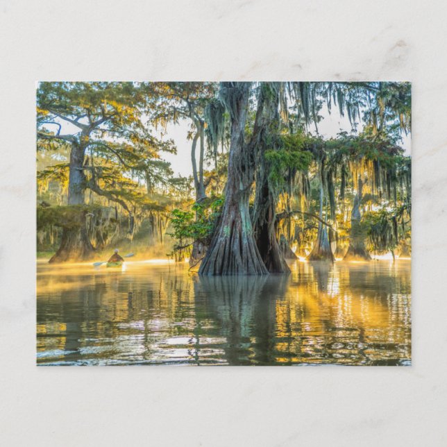 Sjö Fausse Pointe State Park Vykort (Framsida)