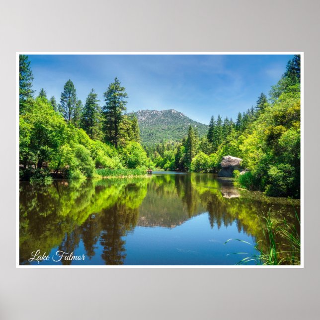 Sjö Fulmor-reflektion – San Jacinto skogsutskrift Poster (Framsidan)