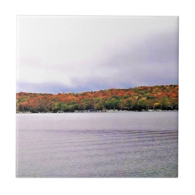 Sjö Genève, Wisconsin Kakelplatta (Framsidan)