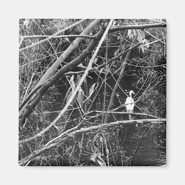 sjö george magnet (Framsidan)