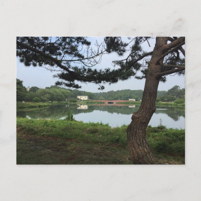 Sjö Gerar RehoBåde Beach Delaware DE Photography Vykort (Framsida)