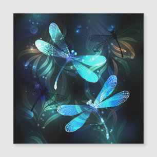 Sjö Glowing Dragonflies