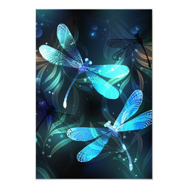 Sjö Glowing Dragonflies Fototryck (Framsidan)