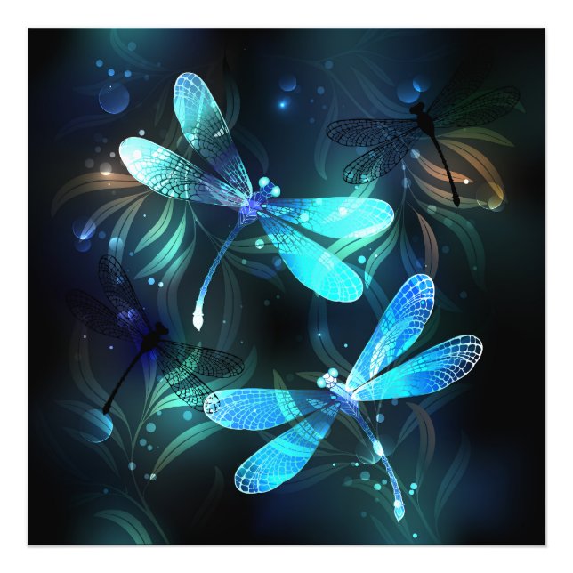 Sjö Glowing Dragonflies Fototryck (Framsidan)