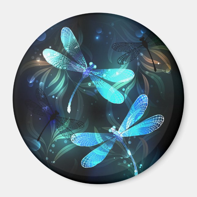 Sjö Glowing Dragonflies Magnet (Framsidan)