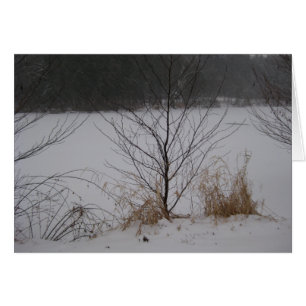 Sjö kant, vinter hälsningskort