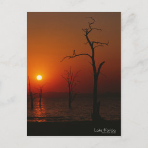 Sjö Kariba Sunset-vykort Vykort