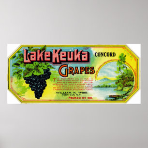 Sjö Keuka Concord Grapes etikett Poster