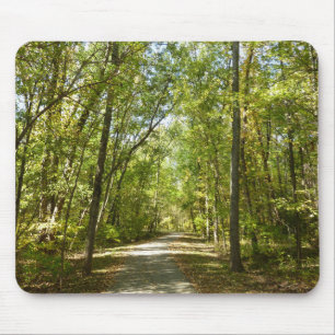Sjö Kittamaquandi Trail i Columbia Maryland Musmatta