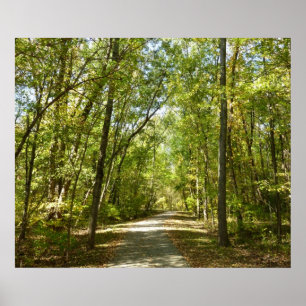 Sjö Kittamaquandi Trail i Columbia Maryland Poster
