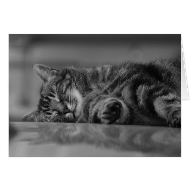 Sjö-komo-katt - 3 B&W Hälsningskort (Framsidan Horizontal)