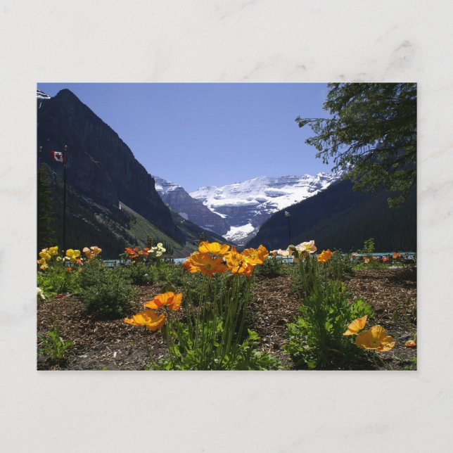 Sjö Louise-vykort Vykort (Framsida)