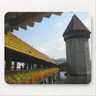 Sjö Lucerne Musmatta