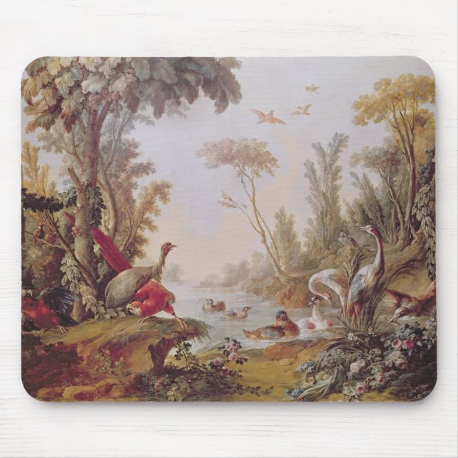 Sjö med gäss, storks, papegojor och herons musmatta (Framsidan)