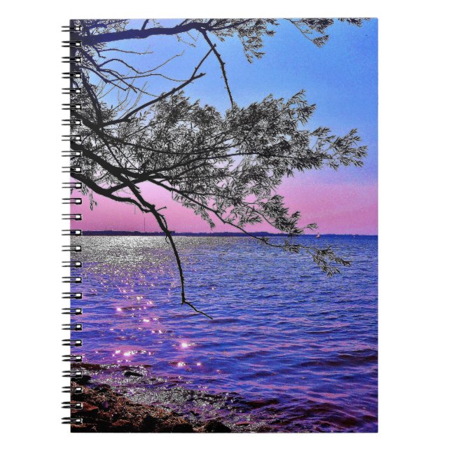Sjö Mendota-vy Anteckningsbok (Framsidan)