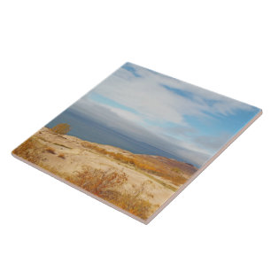 ’SJÖ MICHIGAN AT SLEEPING BAR DUNES’ KAKELPLATTA