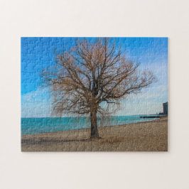 Sjö Michigan Chicago Beach Puzzle Pussel