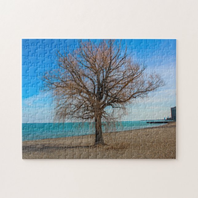 Sjö Michigan Chicago Beach Puzzle Pussel (Horisontell)