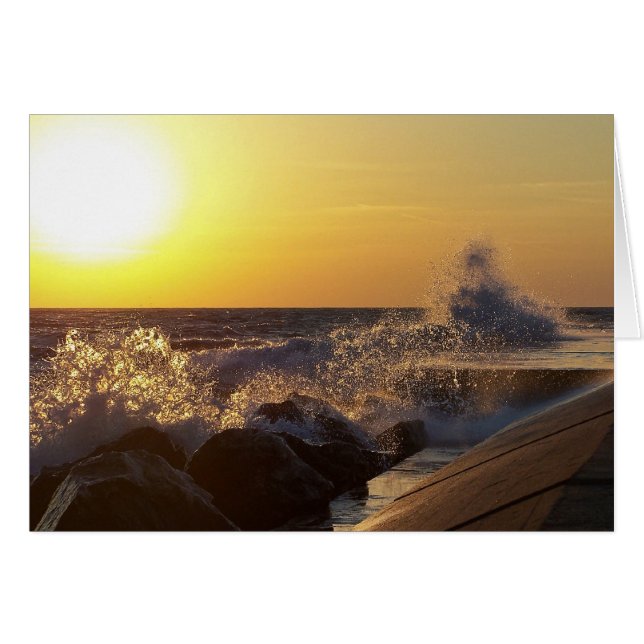 Sjö Michigan OBS Kort (Framsidan Horizontal)