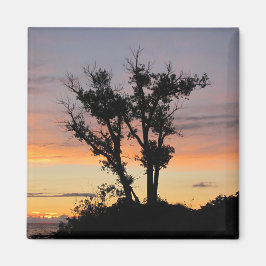 Sjö Michigan Sunset Magnet