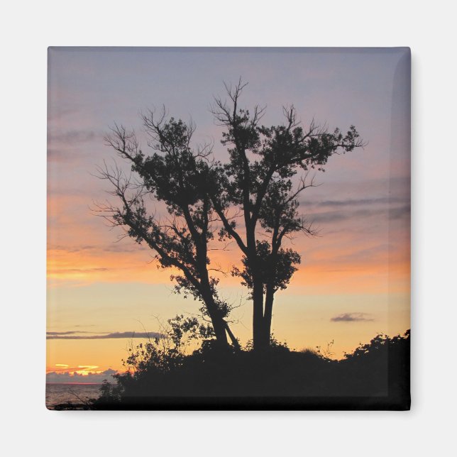 Sjö Michigan Sunset Magnet (Framsidan)
