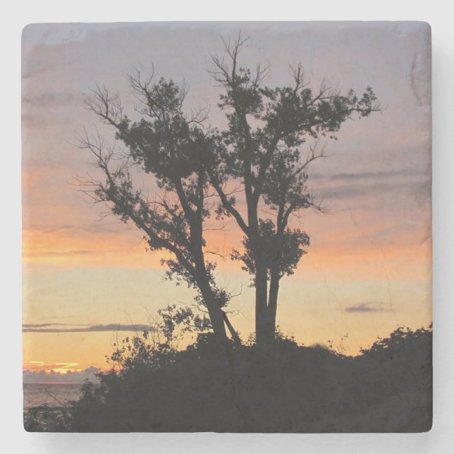 Sjö Michigan Sunset Stenunderlägg (Framsidan)