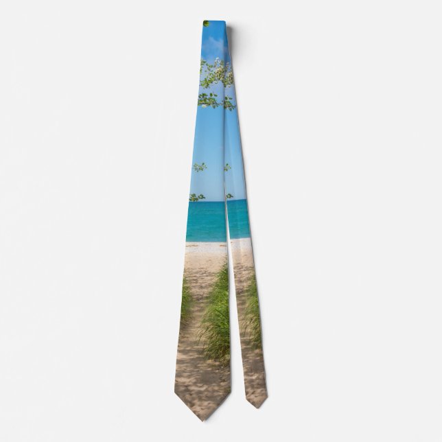 Sjö Michigan Tranquilitet Neck Tie Slips (Framsida)