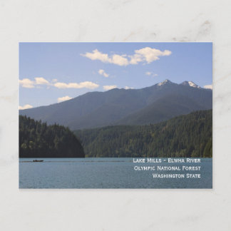 Sjö Mills - Elwha River Postcard Vykort