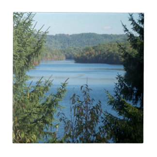 Sjö och träd kakelplatta