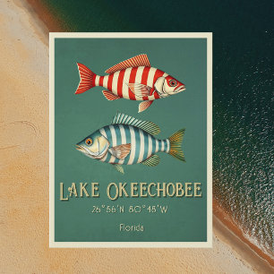 Sjö Okeechobee Florida fisk Vykort